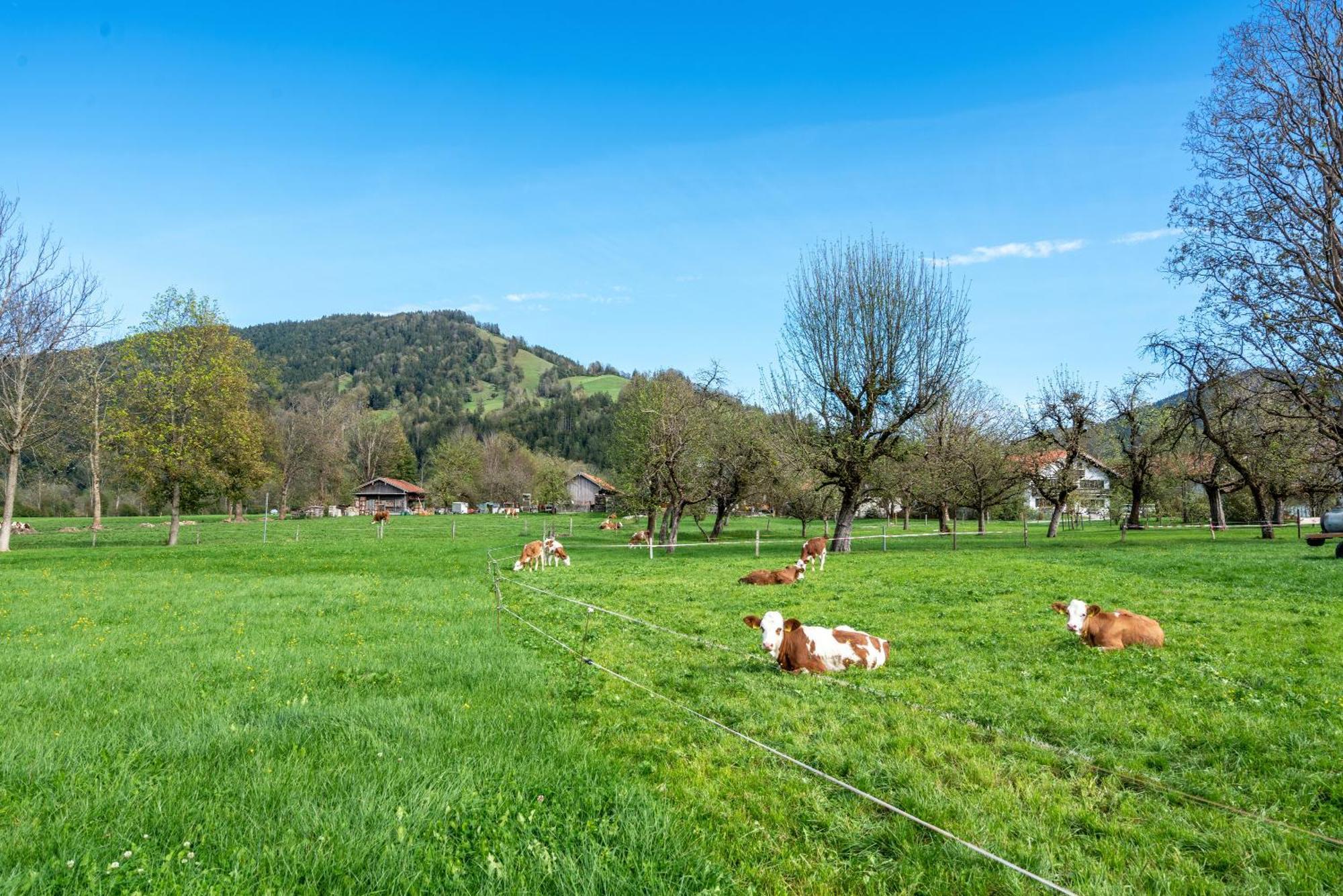 Wohnung Brauneck Gaissach Exteriér fotografie